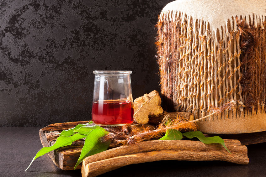 first Ayahuasca journey in the Netherlands