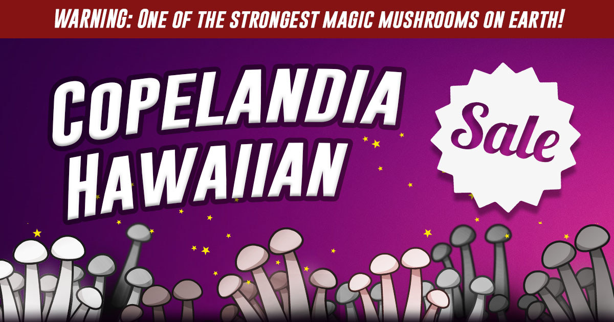 copelandia hawaiian 2