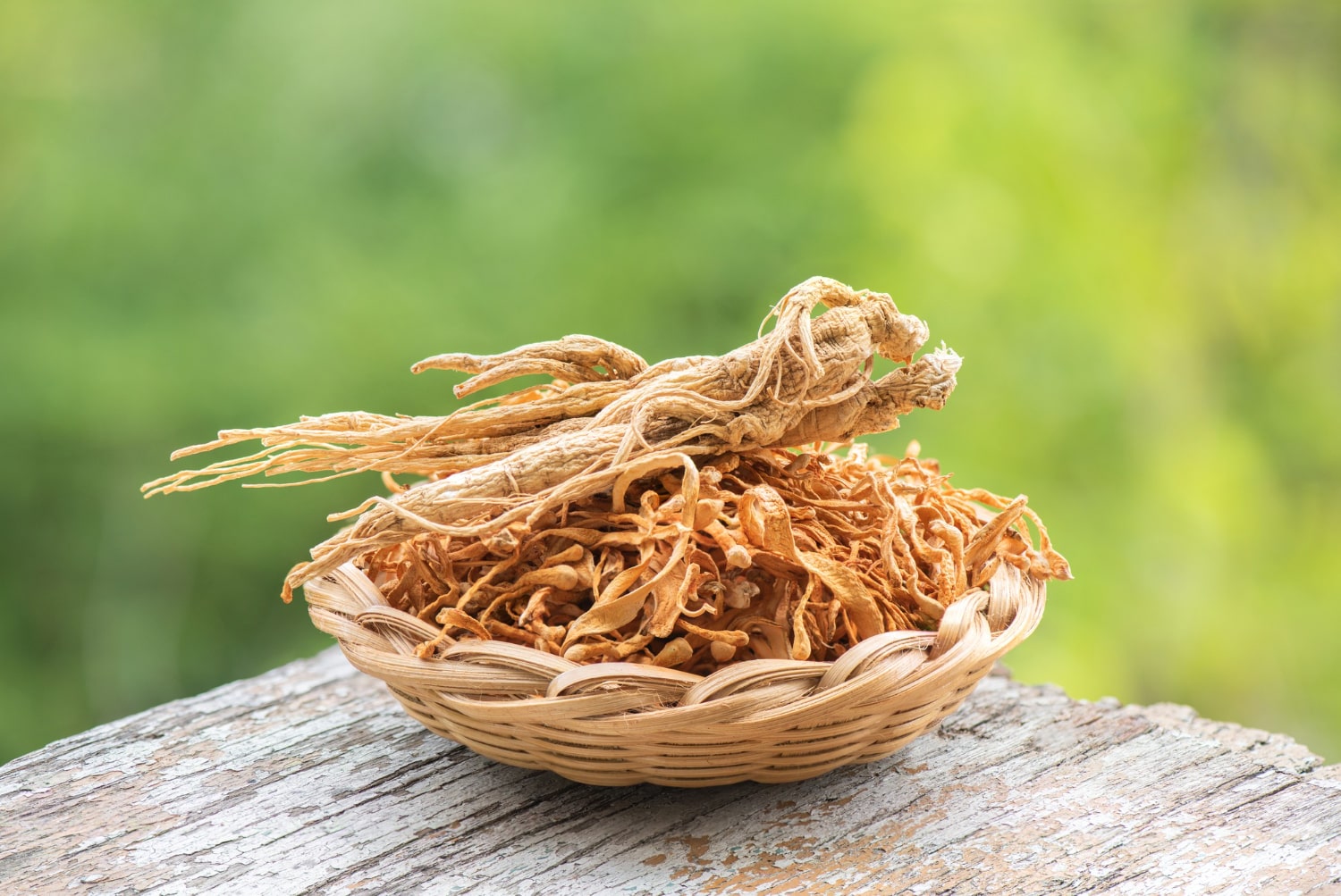 Meet the Cordyceps - an amazingly healthy but terrifying mushroom...