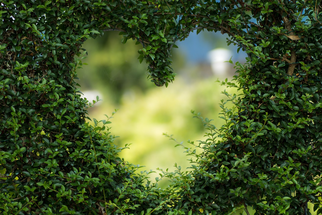 what are aphrodisiac herbs