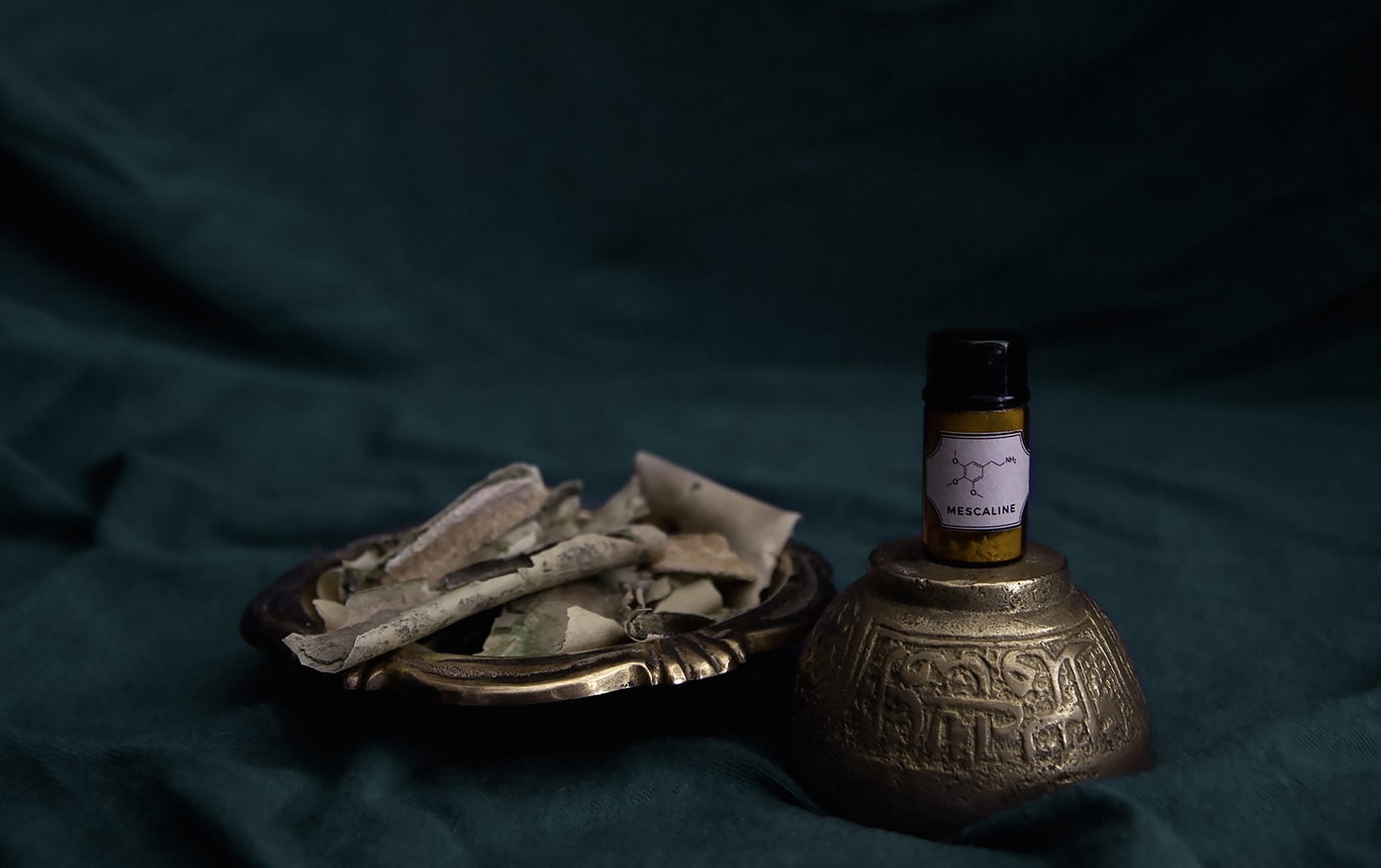 mescaline research