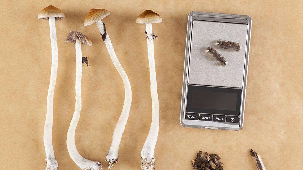 psychedelic microdosing