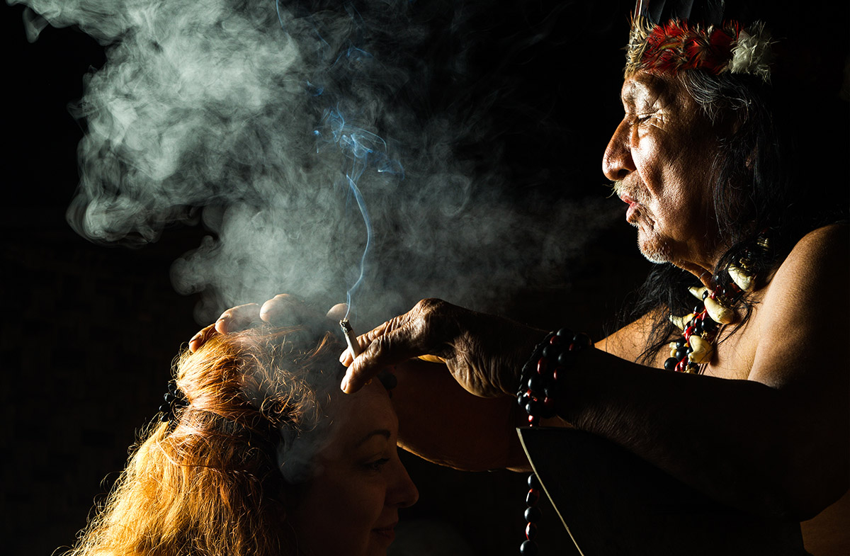 psychedelics north america