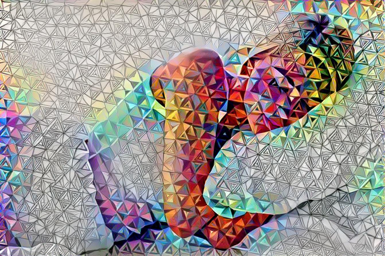 New study: Psychedelic toad secretion relieves depression, anxiety and stress