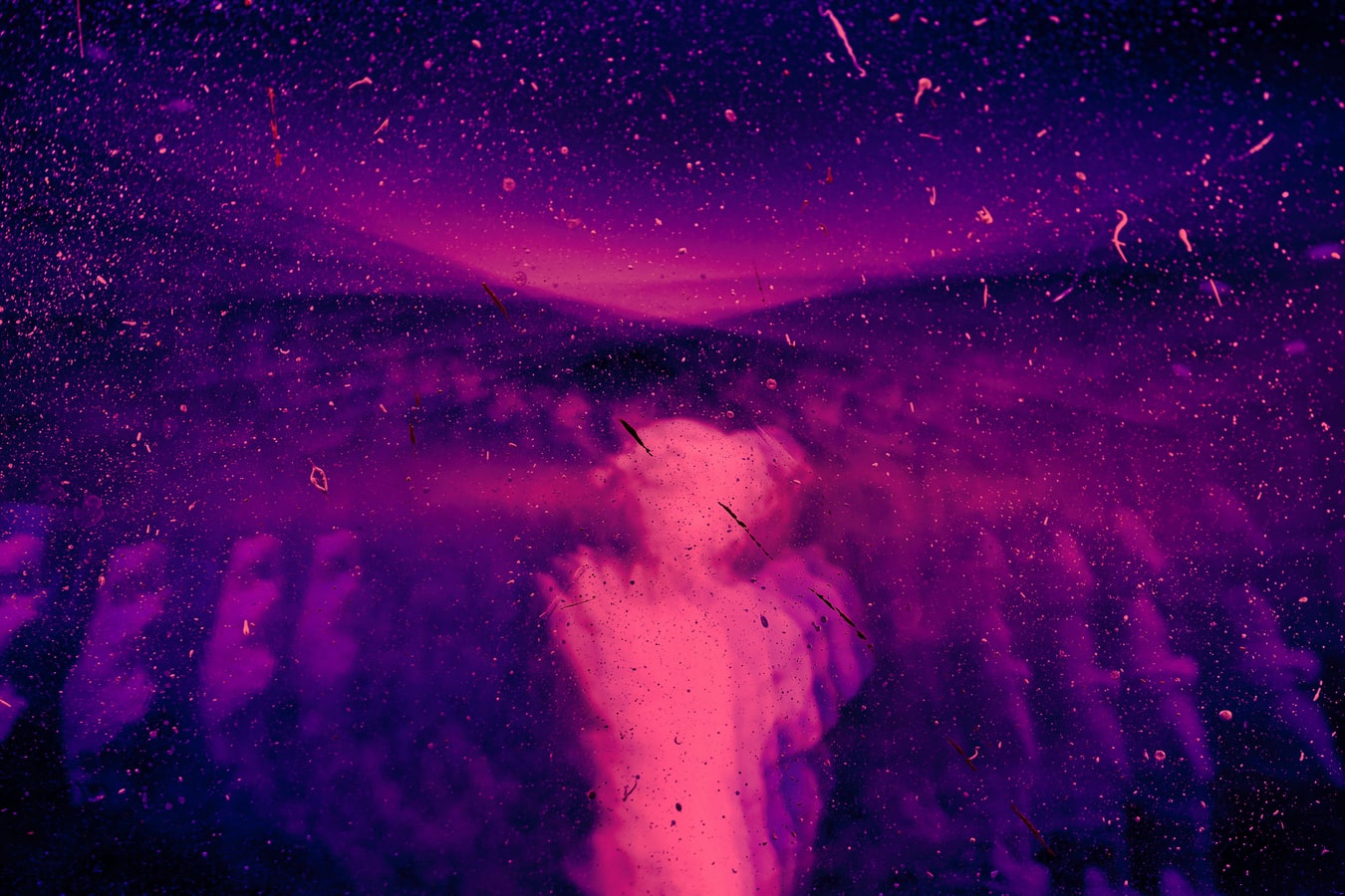 psychonaut brain