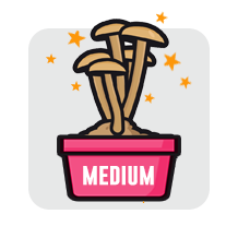 100% mycelium medium grow kit