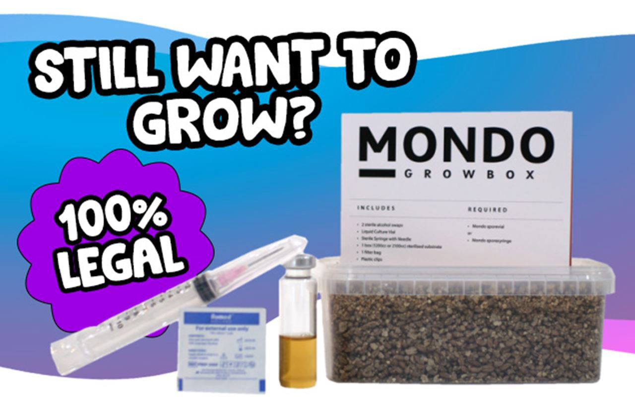 legal-mushroom-growkit (1)