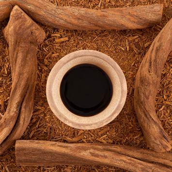 Banisteriopsis Caapi Red Vine Resin Liquid 15:1