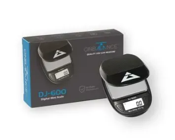DJ-600 Mini Scale - 600 X 0.1 g