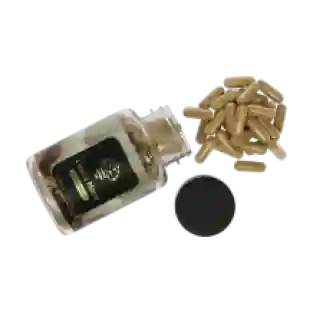 Lion's Mane extract capsules - 120 caps