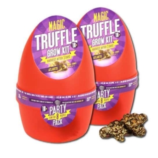 2X Growkit Atlantis Magic Truffle  – BUY 1 GET 1 FREE